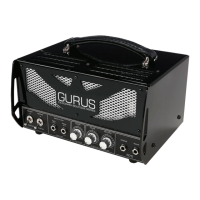 Preview: Gurus 5015 HEAD