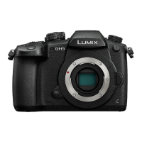 Preview: Panasonic Lumix DC-GH5EFK