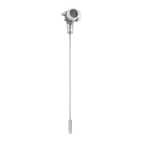 Preview: Endress+Hauser Levelflex FMP50