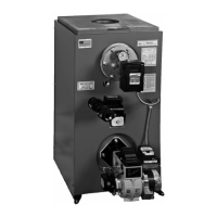 Preview: Thermo-Dynamics Boiler S85