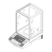 Preview: OHAUS Voyager V10640
