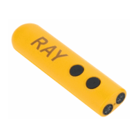 Preview: Caretec Ray