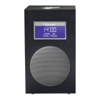 Preview: Tivoli Audio 10