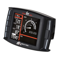 Preview: Bully Dog GT