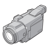 Preview: Sony Handycam DCR-TRV60