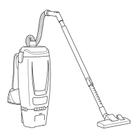 Preview: Hillyard Trident BP6V