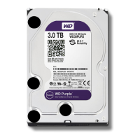Preview: Western Digital Purple PR1000M