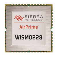 Preview: Sierra Wireless WISMO228
