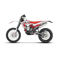 Preview: Beta Motorcycles RR 350 EFI 2018