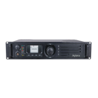 Preview: Hytera RD980