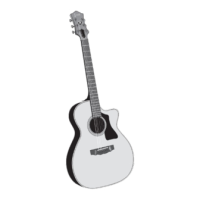 Preview: Guild Acoustic guitar