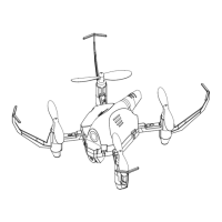 Preview: DF-models SkyWatcher Mini Race