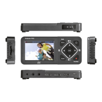 Preview: DNT Video-Digitizer Grabstar PRO