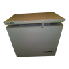 Freezer Logo