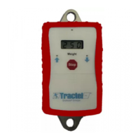 Preview: Tractel Tractelift Type II