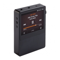 Preview: IRiver astell & kern AK100