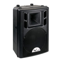 Preview: W Audio PSR-12A
