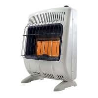 Preview: Mr. Heater MHVFRD20NGBT