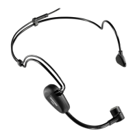 Preview: Shure PG 30