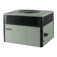 Preview: Trane 4YCY5024A1060A