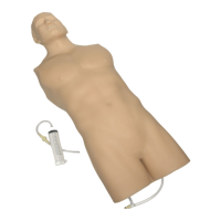 Preview: Blue Phantom FAST Exam Ultrasound Training Model