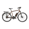 Bicycle Logo