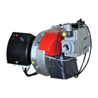 Preview: Ecoflam MAX GAS 250 PAB