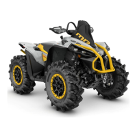 Preview: BRP Can-Am RENEGADE X MR Series