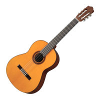 Preview: Yamaha CG101A