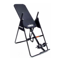 Preview: Stamina Inversion Table