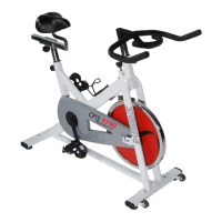 Preview: Stamina CPS 9190 Indoor Cycle