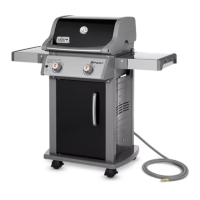 Preview: Weber Spirit 89527