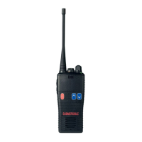 Preview: Entel HT702