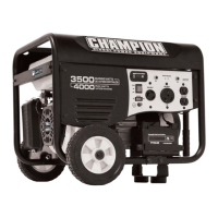Preview: Champion 46561