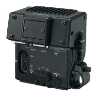 Preview: Panasonic AG-CA300G