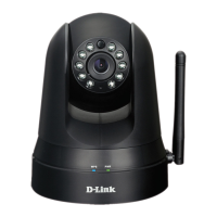 Preview: D-Link DCS-5010L
