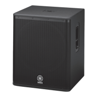 Preview: Yamaha DSR112