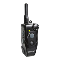 Preview: Dogtra 610C