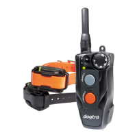 Preview: Dogtra 612C