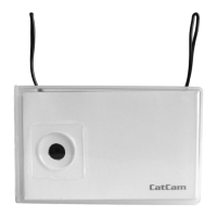 Preview: CatCam Camera