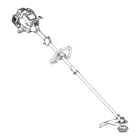 Preview: Craftsman WEEDWACKER 316.791890