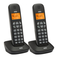 Preview: AEG Voxtel D135