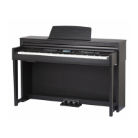 Preview: Classic Cantabile DP-A 610