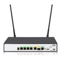 Preview: H3C MSR 810
