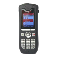 Preview: Avaya 3725