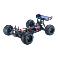 Preview: THUNDER TIGER Sparrowhawk XXT
