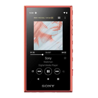 Preview: Sony NW-A100TPS