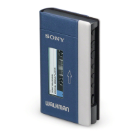 Preview: Sony NW-A100TPS