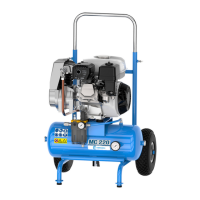 Preview: CAMPAGNOLA MC 220