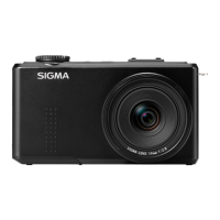 Preview: Sigma DP1 Merrill